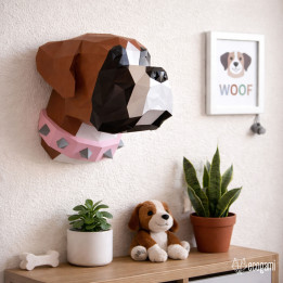 Boxer head Boxer head